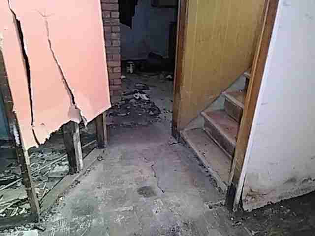 Testing again(58).jpg